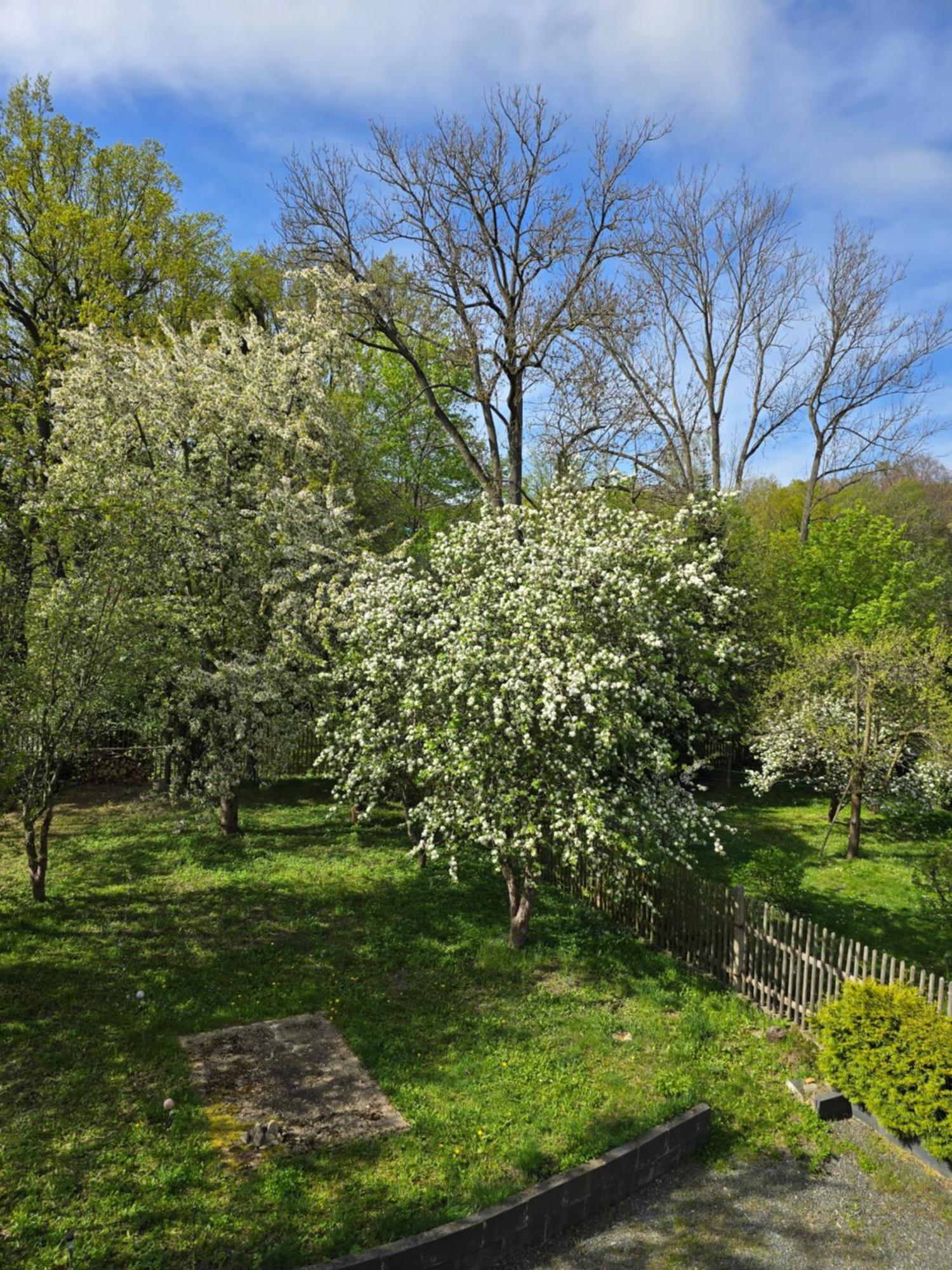 Villa Kuechwald شيمنيتز المظهر الخارجي الصورة