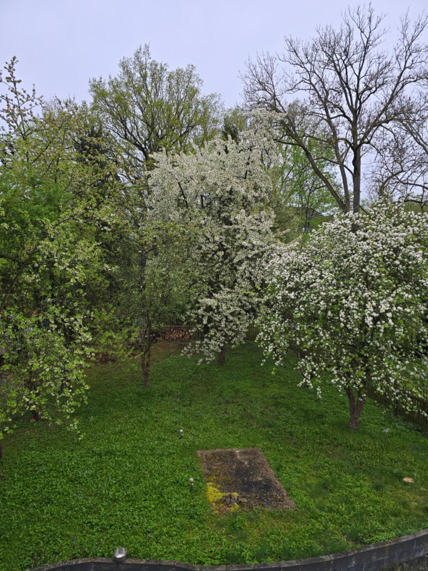 Villa Kuechwald شيمنيتز المظهر الخارجي الصورة